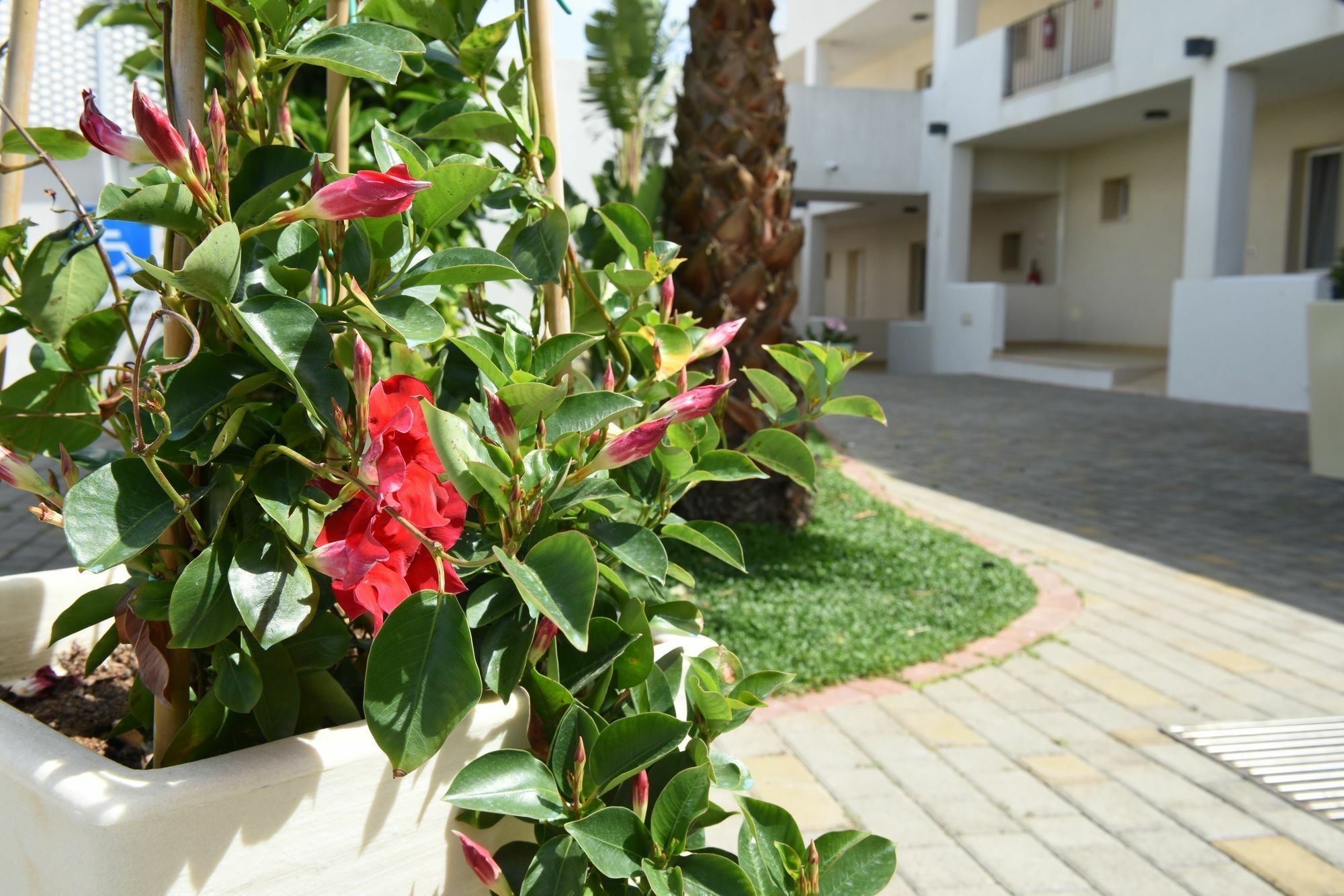 טורה סנטה סאבינה Donnosanto Residence מראה חיצוני תמונה
